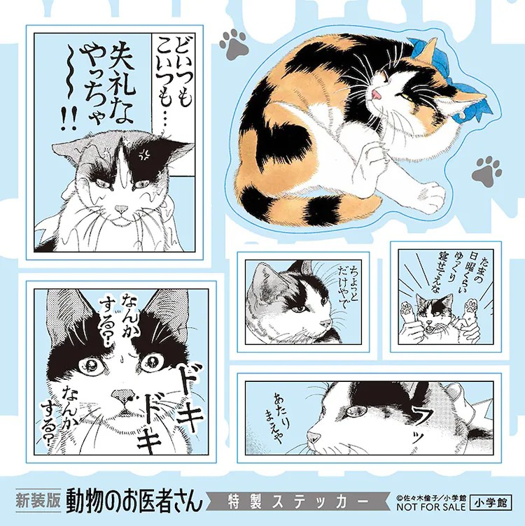 《动物医生》新装版12卷发布,抽选赠送Chobits魅力礼物。 资讯 第7张 《动物医生》新装版12卷发布,抽选赠送Chobits魅力礼物。 资讯 第7张