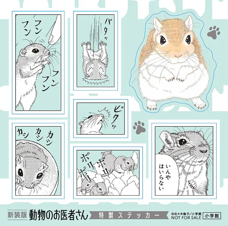 《动物医生》新装版12卷发布,抽选赠送Chobits魅力礼物。 资讯 第5张 《动物医生》新装版12卷发布,抽选赠送Chobits魅力礼物。 资讯 第5张