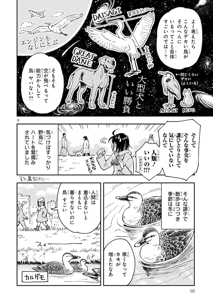  鳶田ハジメ的野鸟观察随笔《まいにち鳥びより》出版  资讯 第6张