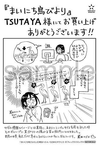  鳶田ハジメ的野鸟观察随笔《まいにち鳥びより》出版  资讯 第11张