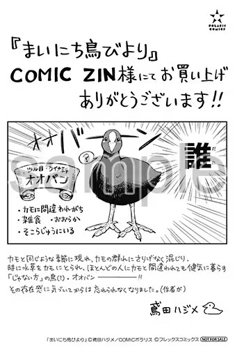  鳶田ハジメ的野鸟观察随笔《まいにち鳥びより》出版  资讯 第10张