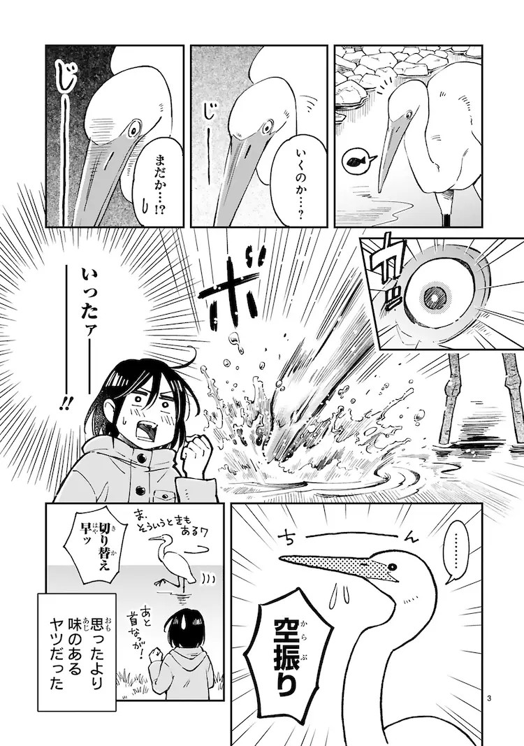  鳶田ハジメ的野鸟观察随笔《まいにち鳥びより》出版  资讯 第4张