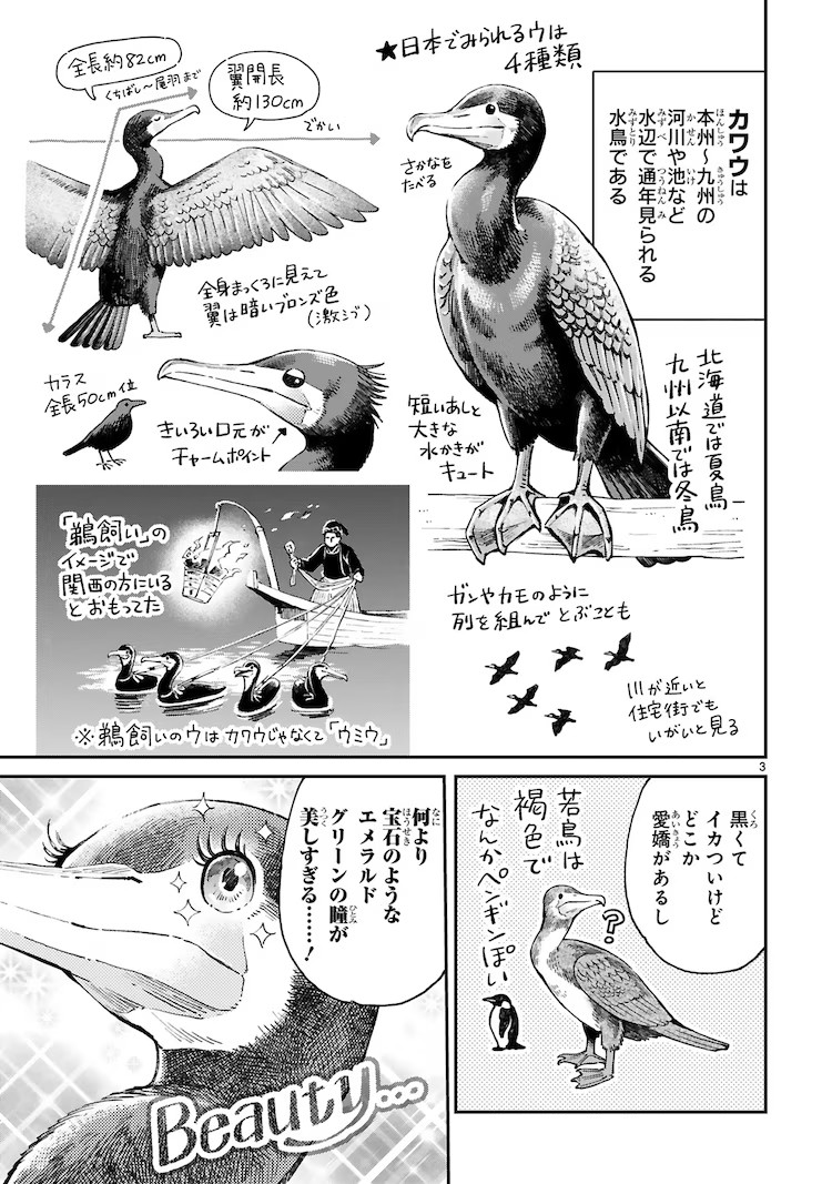  鳶田ハジメ的野鸟观察随笔《まいにち鳥びより》出版  资讯 第5张