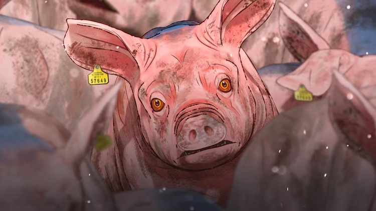  第3回新潟国际动画电影节长篇部门提名揭晓  漫展 第2张