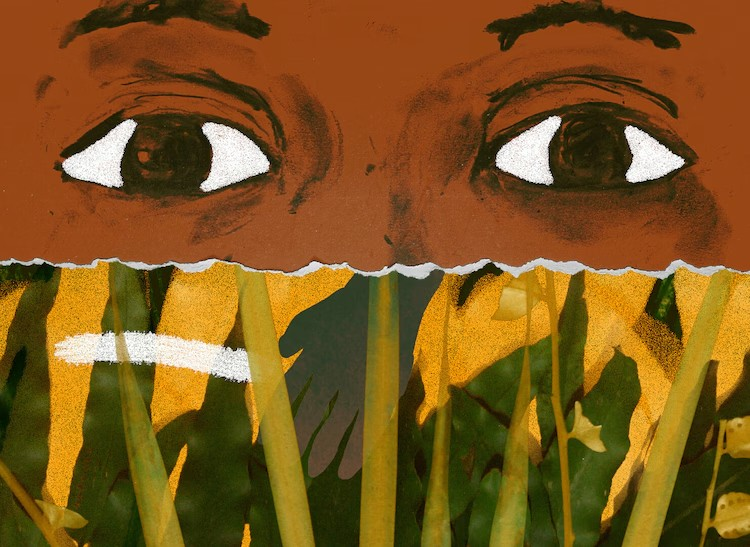  第3回新潟国际动画电影节长篇部门提名揭晓  漫展 第13张