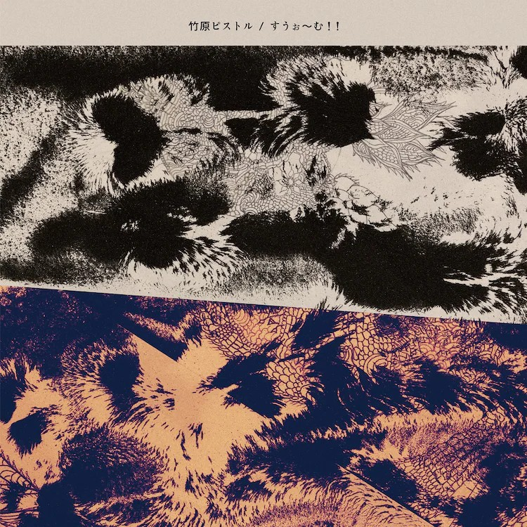  竹原ピストル新专辑《すうぉ～む!!》先行曲「s.o.s.」今日配信  业内 第2张