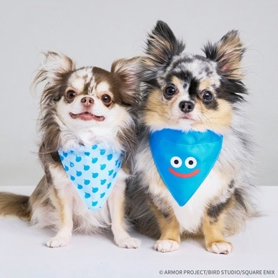 《DRAGON QUEST PETs》品牌标志公开 漫展 第3张 《DRAGON QUEST PETs》品牌标志公开 漫展 第3张