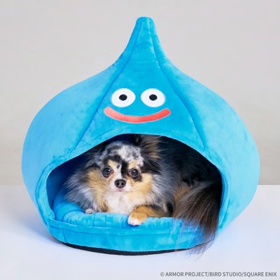 《DRAGON QUEST PETs》品牌标志公开 漫展 第2张 《DRAGON QUEST PETs》品牌标志公开 漫展 第2张