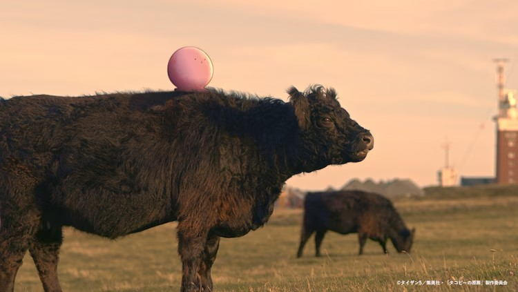  动画《章鱼噼的原罪》最新情报公开  资讯 第9张