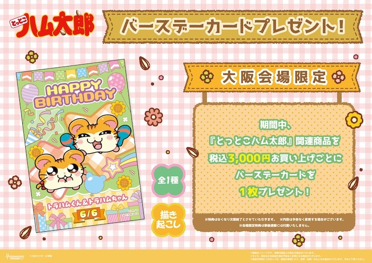  《哈姆太郎》快闪店来袭，限定周边等你抢！  周边 第2张