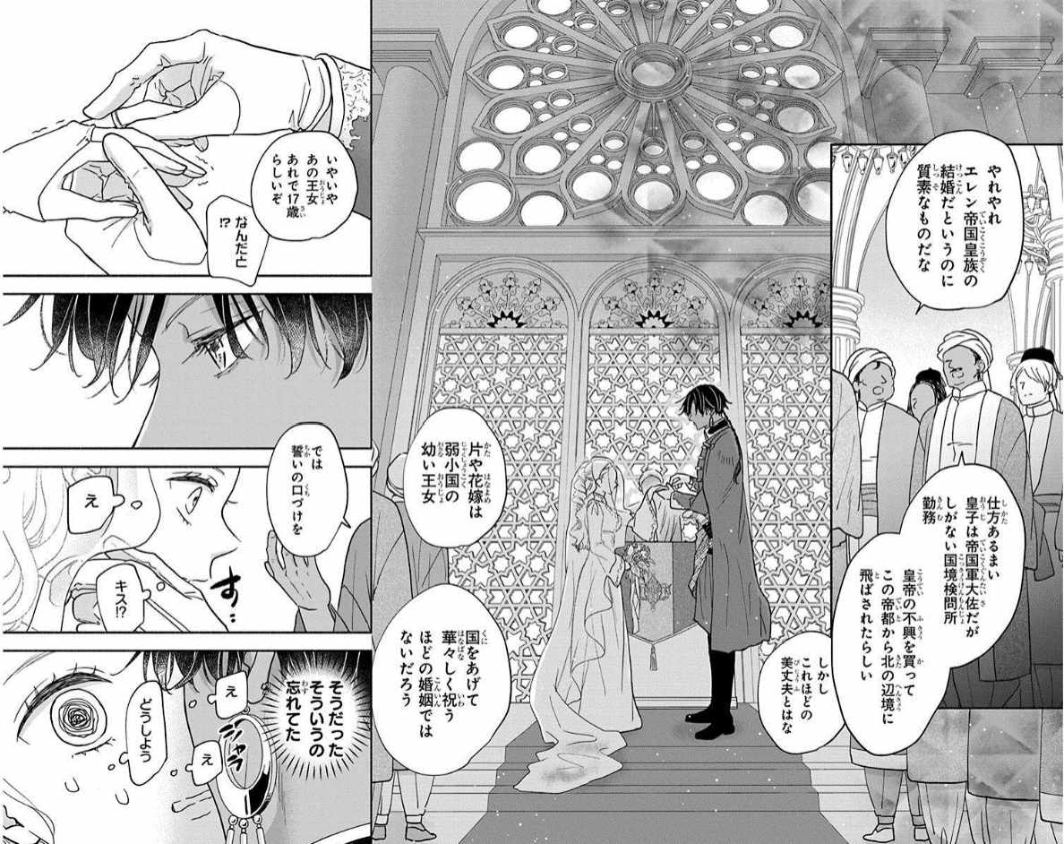  《狼皇子与爱说谎的婚姻》第2卷发售，部分店铺提供特典。  资讯 第5张