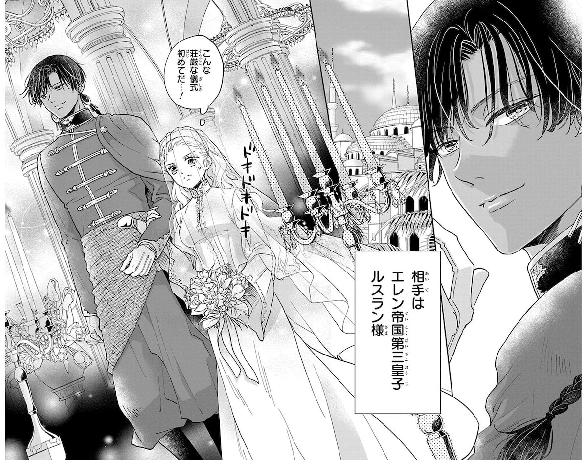  《狼皇子与爱说谎的婚姻》第2卷发售，部分店铺提供特典。  资讯 第6张