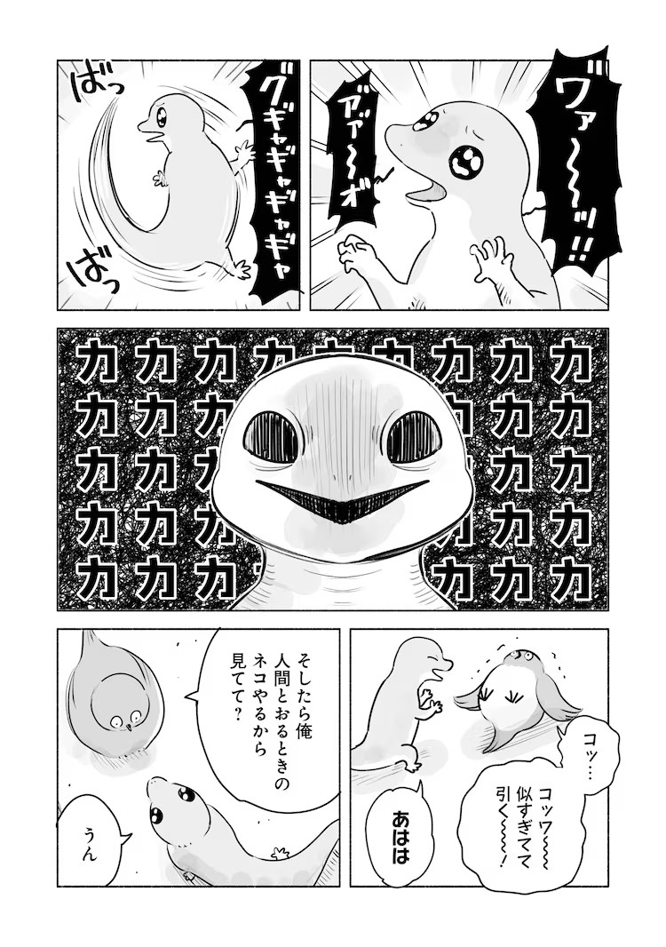 しけたいぬ新短篇漫画《めじとやも》开启连载 资讯 第5张